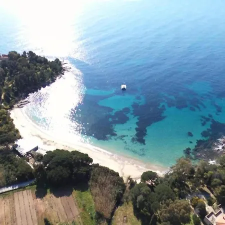 Spacious Near Sea In Sur Villa *