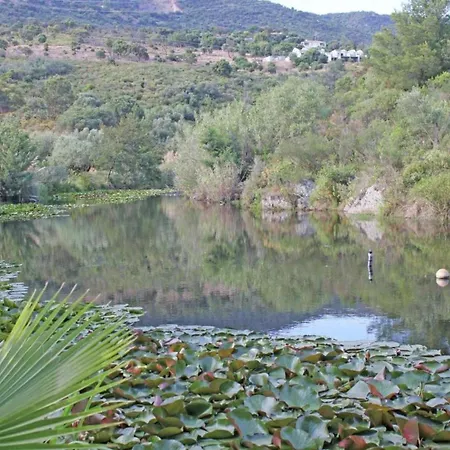 Villa Spacious Near Sea In Sur